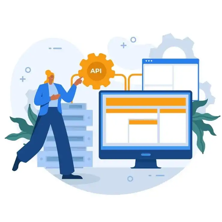 API Process