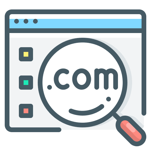 Domain Name